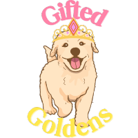 Logo Archies Gifted Goldens