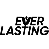 Logo everlasting